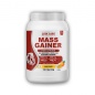  Lion Labs Mass Gainer  1000 